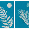 Solar Print Kit - Outdoor Discovery