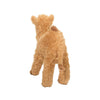 Lawrence Camel