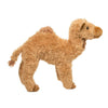 Lawrence Camel