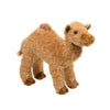 Lawrence Camel