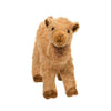 Lawrence Camel
