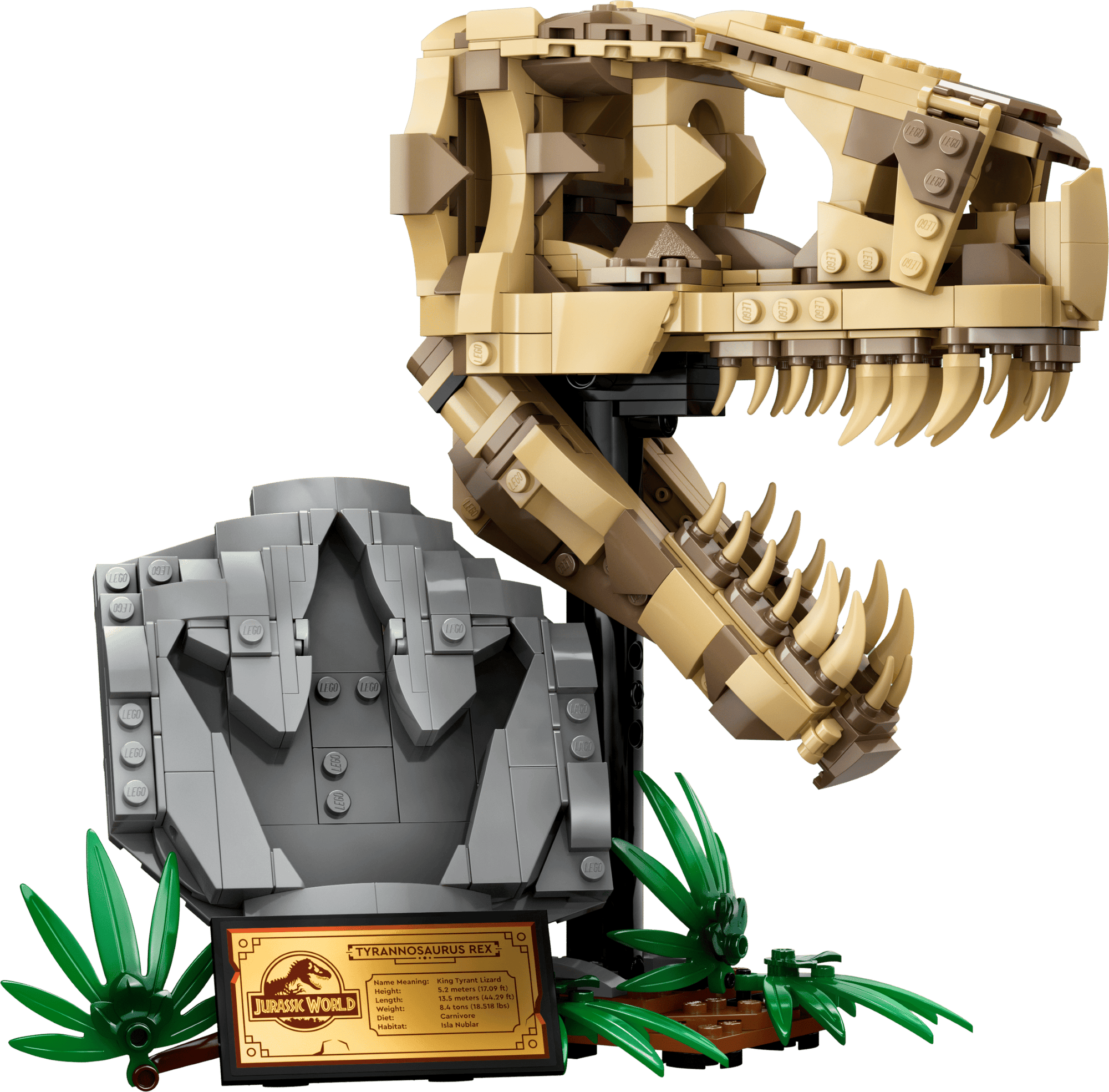 Dinosaur Fossils: T. rex Skull - Jurassic World™ - 76964