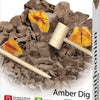 Amber Dig Value Set - Smithsonian