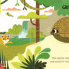 Animal Magic: In the Jungle