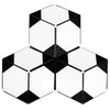 Soccer Shashibo