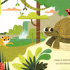 Animal Magic: In the Jungle