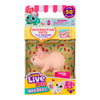 Needees Little Live Pets - Moose Toys