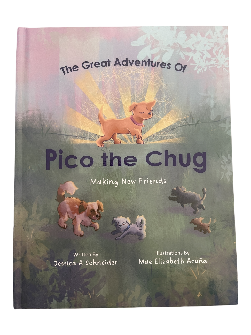Pico The Chug - Making New Friends
