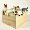 Playful Hanging House Cat Blind Box - 70738