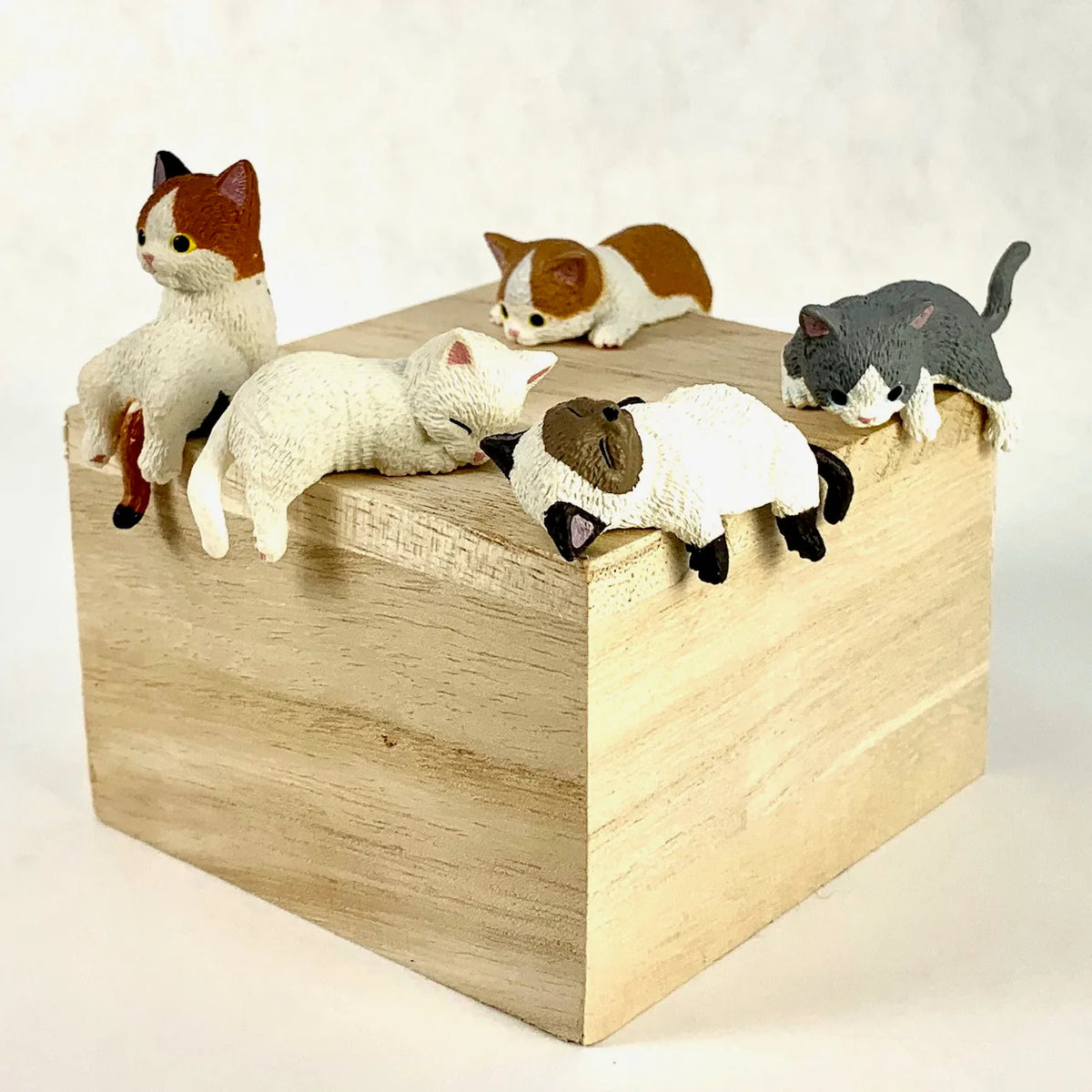 Playful Hanging House Cat Blind Box - 70738