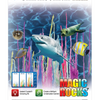 Magic Rocks Value Set -Smithsonian