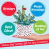 Pop Up Coloring Succulents Bouquet - Adult Coloring Craft