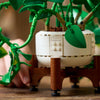 Hanging Golden Pothos - LEGO® Botanicals Collection - 11512