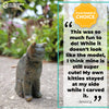 Cat Soapstone Carving Kit