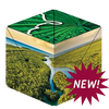 National Parks Northwest, Southwest, Northeast & Southeast Cubendi Fidget Puzzle Cube