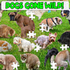 1000 Piece - 101 Pooping Puppies Jigsaw Puzzle
