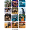 27 click blocks Kinetic Animal Puzzle