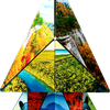National Parks Northwest, Southwest, Northeast & Southeast Cubendi Fidget Puzzle Cube